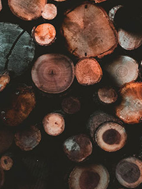 LEPRETRE JEAN CHARLES Copeaux De Bois Imgcorrection LEPRETRE JEAN CHARLES Copeaux De Bois Imgcorrection
